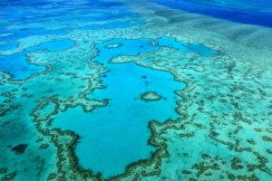 The Great Barrier Reef Under Threat: Understanding the Risks to a Natural Wonder