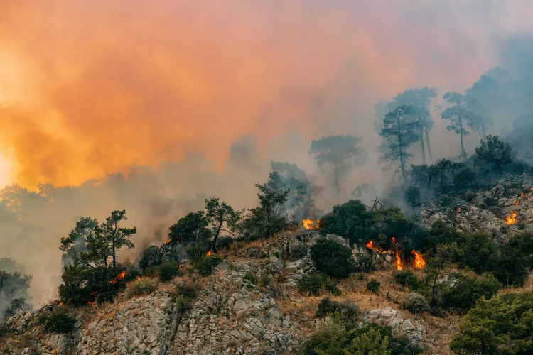 What’s the Difference Between Global Warming and Climate Change? Understanding the Nuances of a Critical Debate